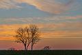2022_01_15 (0023)